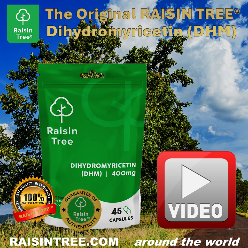 Raisin Tree - The Full Story