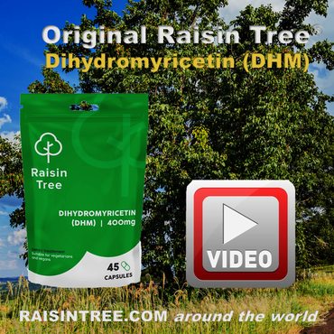 Raisin Tree - The Full Story