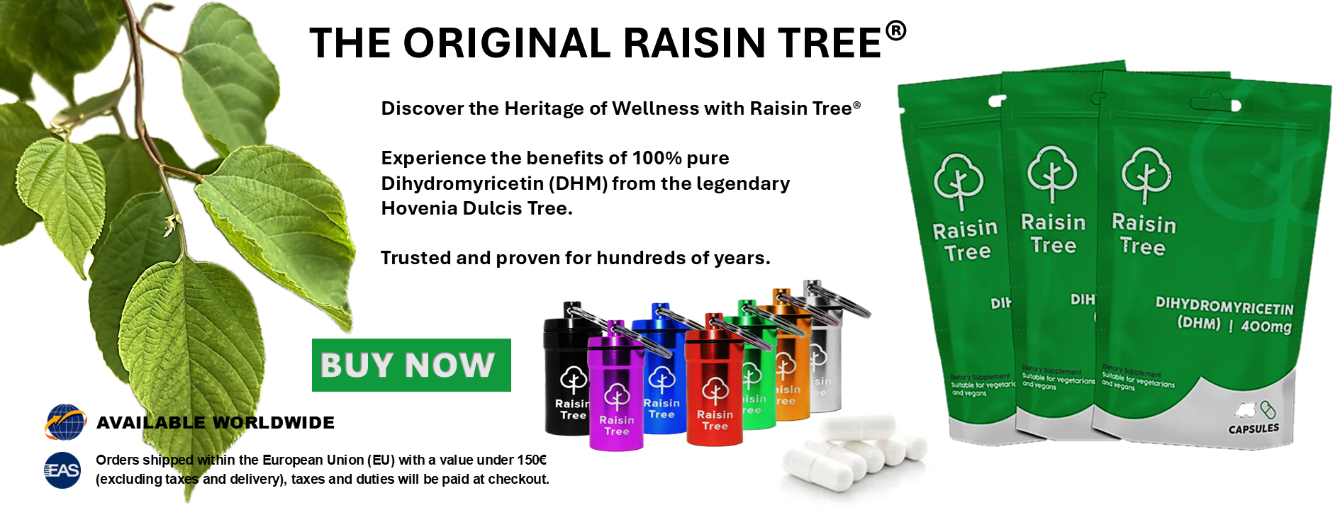 Raisin Tree 