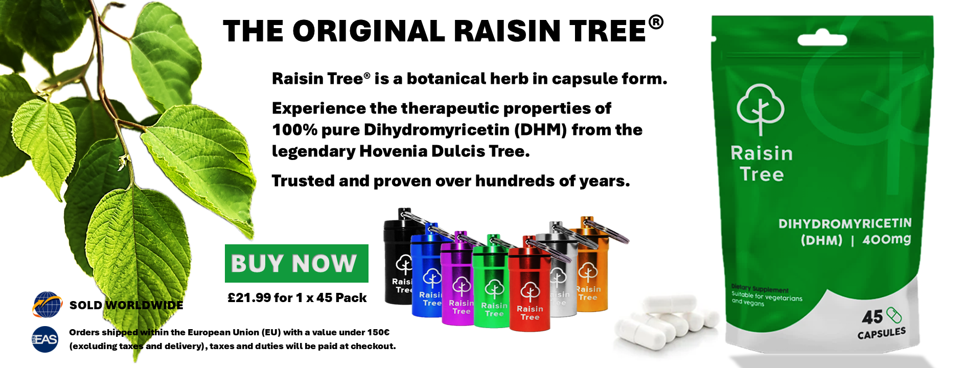 Raisin Tree 